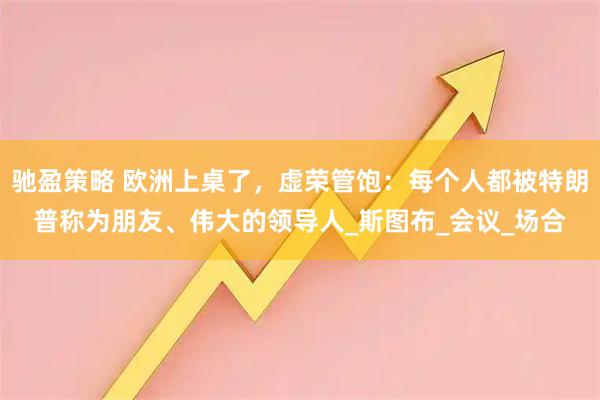 驰盈策略 欧洲上桌了，虚荣管饱：每个人都被特朗普称为朋友、伟大的领导人_斯图布_会议_场合