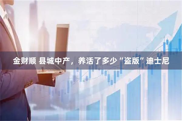 金财顺 县城中产，养活了多少“盗版”迪士尼