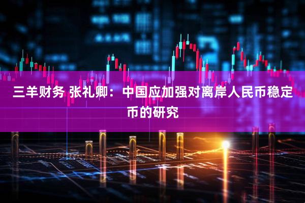 三羊财务 张礼卿：中国应加强对离岸人民币稳定币的研究