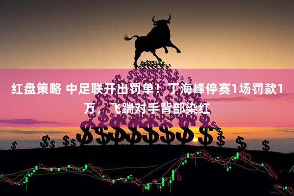 红盘策略 中足联开出罚单！丁海峰停赛1场罚款1万，飞踹对手背部染红