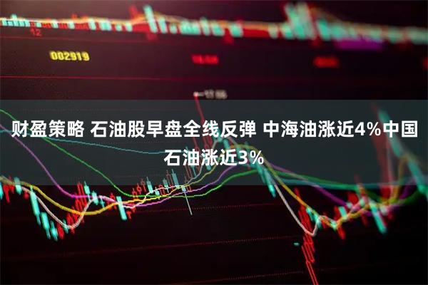 财盈策略 石油股早盘全线反弹 中海油涨近4%中国石油涨近3%